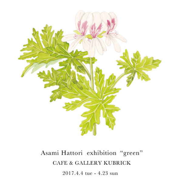 BUILDING | Portfolio updated : Asami Hattori / 服部 あさ美