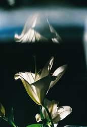 Thumb mini ec88e2283b