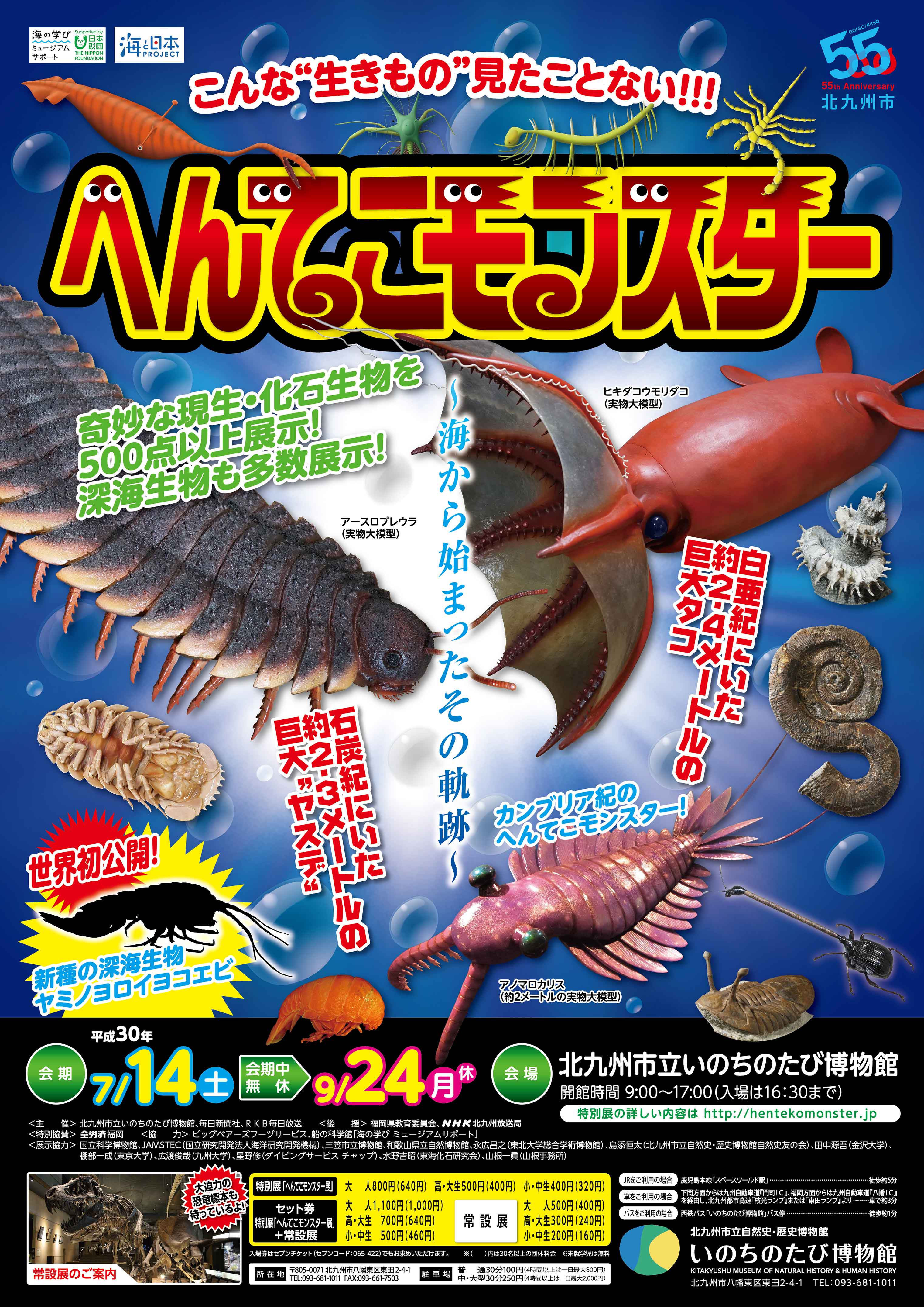 へんてこモンスター 海から始まったその軌跡 アルトネ