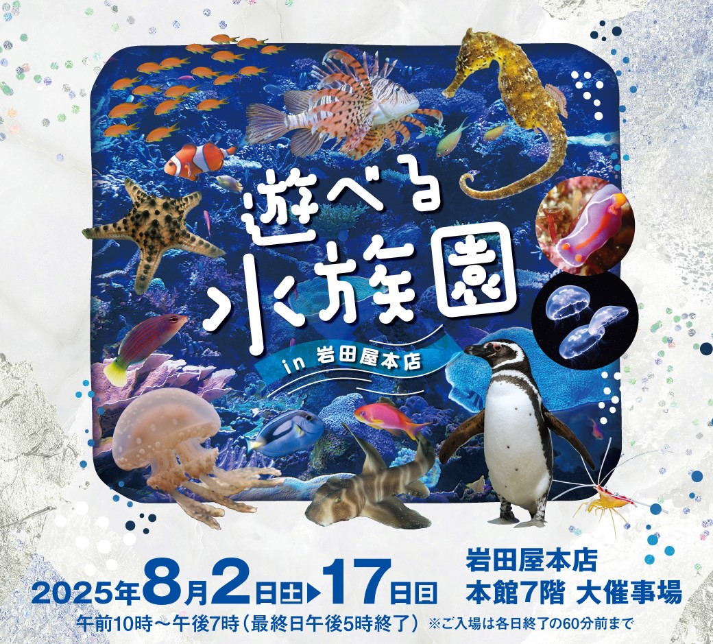 ペンギンが福岡市・天神にやってきた！「遊べる水族園 in 岩田屋本店